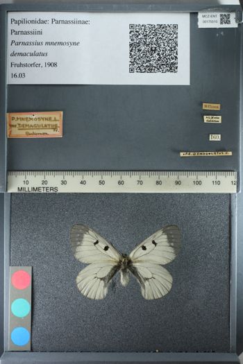 Media type: image;   Entomology 175510